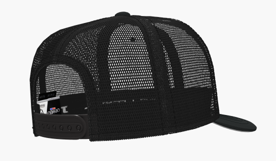 UQA Lions 2024 Black Snap Back Hat