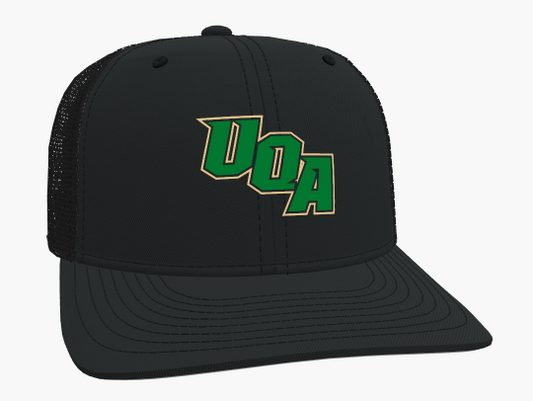 UQA Lions 2024 Black Snap Back Hat